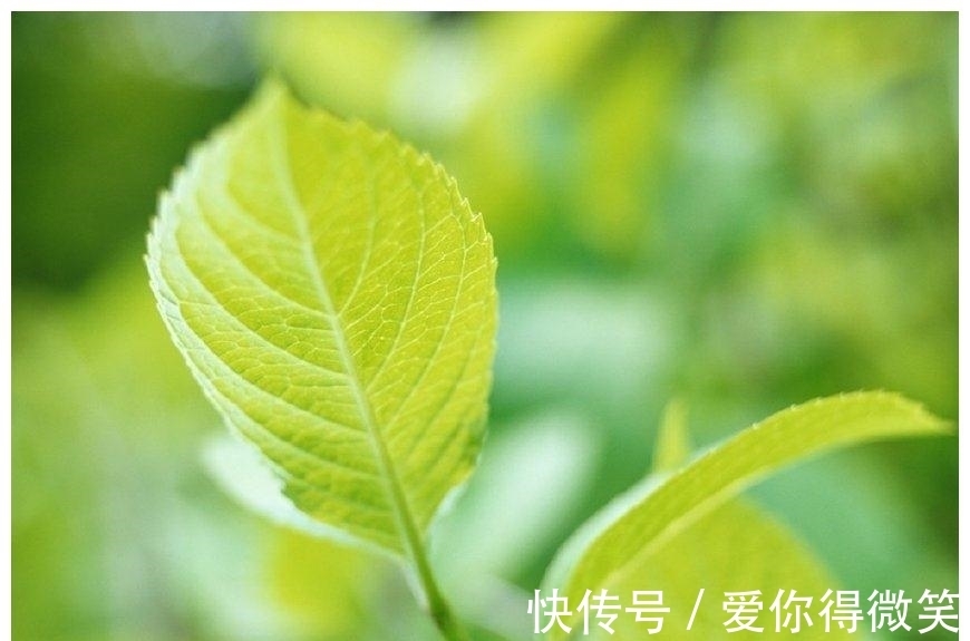 财运|7月，福气降临，财运节节高升，事业蒸蒸日上的3星座