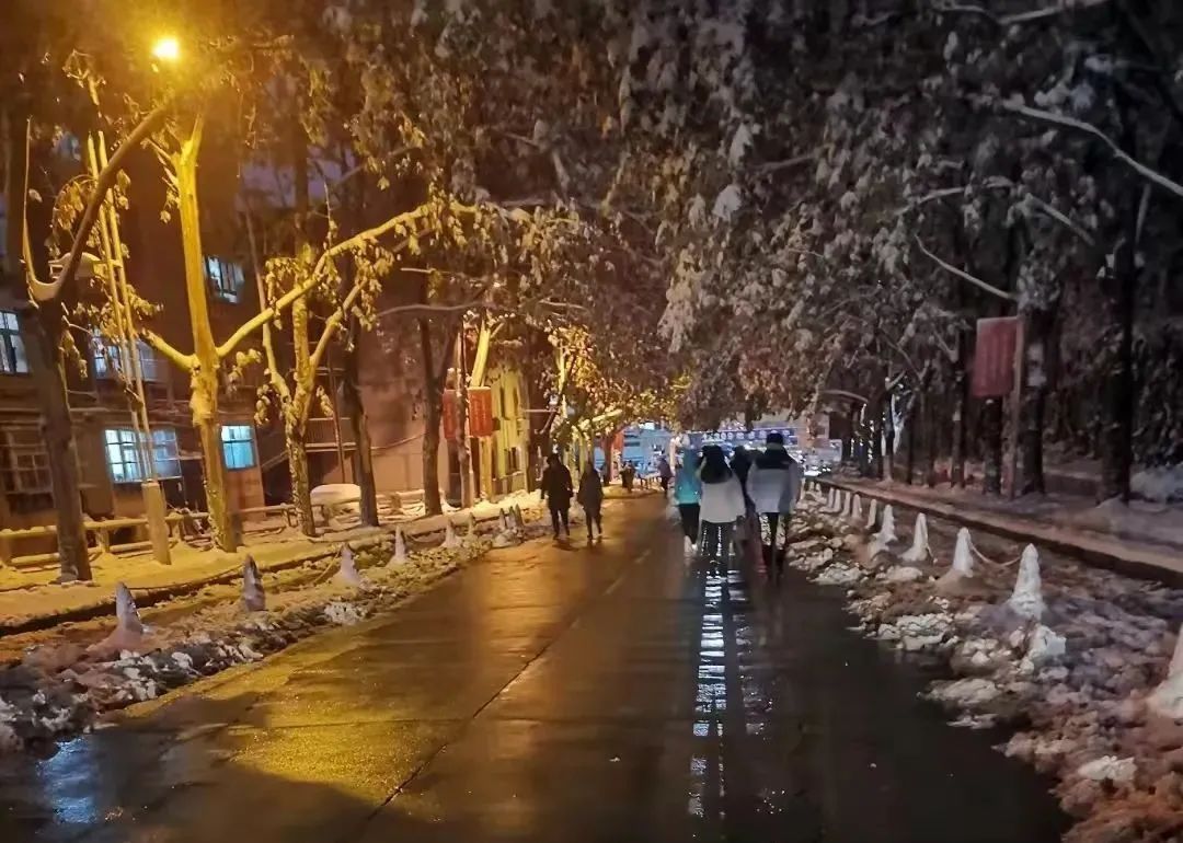 山东交通学院|千里一色！山东高校的“初雪”遇上“立冬”，浪漫绝绝子！