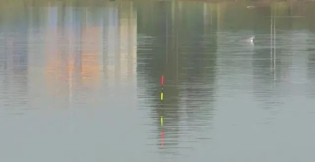 冬季正是钓鲤鱼旺季!只要掌握技巧,平时见不到的大鲤鱼频繁咬钩