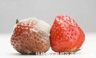 六物|62岁男子,从肝硬化到稳定,常吃1“黄”肝脏悄悄变“柔软”