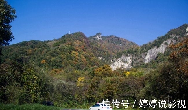 茱萸|寻访秦岭苦竹沟，灌满浆汁的烂红野果和山货挂满枝头，都无人采摘