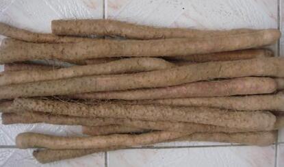 生蚝|藏在身边的雄性激素,男人不爱吃也要吃点,助你好肾脏