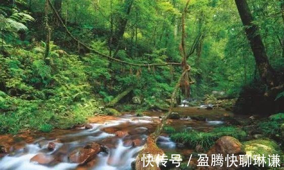 黄牛石|龙南，这个县城虽小但五脏俱全，静谧、清新，是属于你的世外桃源