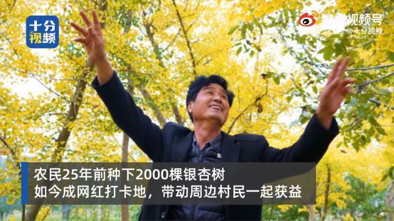 银杏树|农民大叔种2000棵银杏25年没管如今成景点，延参法师：这个季节就是属于银杏树的风景