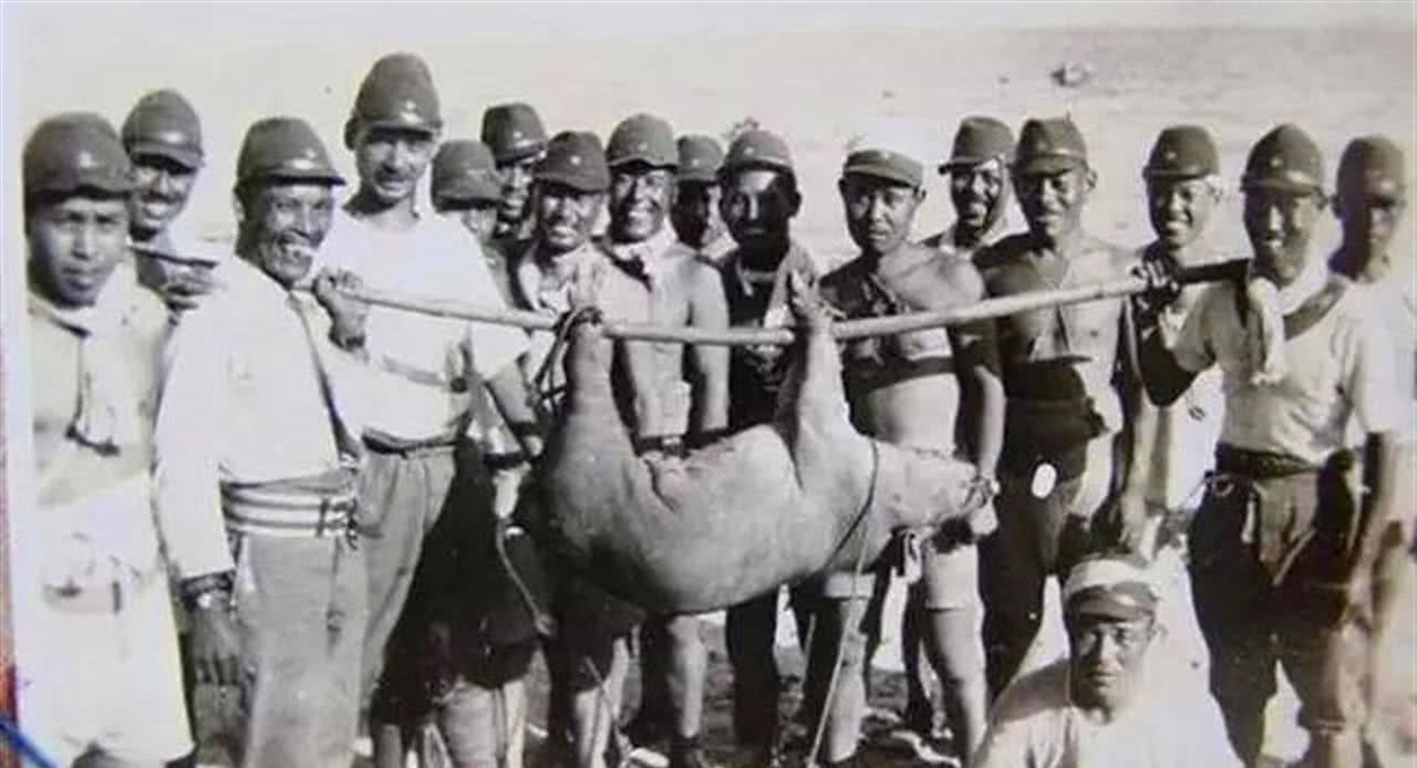 进村|真实的鬼子进村是什么样的?别再被神剧骗了