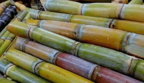 藕粉|肺部的“清洁工”找到了,每天坚持吃一点,清肺润肺,远离肺病一身轻