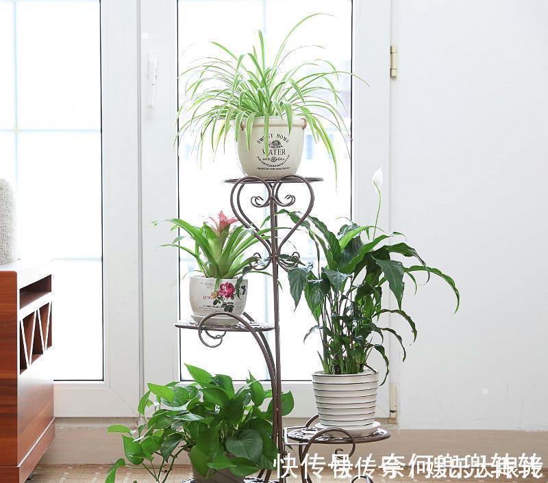 收纳|建议大家阳台不装晾衣杆了,换上这“高级货”,档次高还不贵