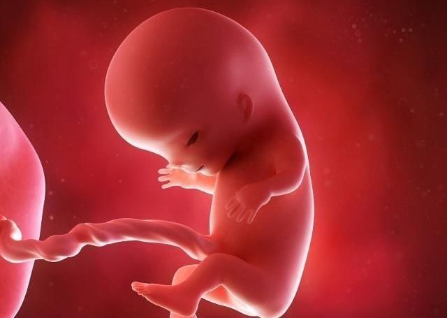 怀孕4个月,胎儿发育情况要了解,饮食指南也