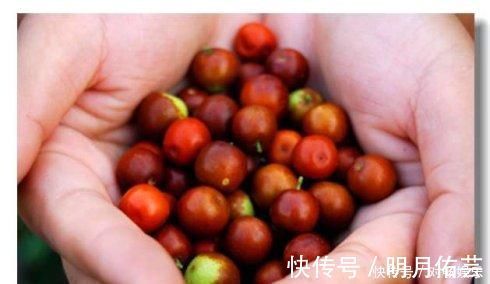 外面的世界|天然的“助眠药”来了，睡前吃一点，宁心安神，赶走失眠困扰！