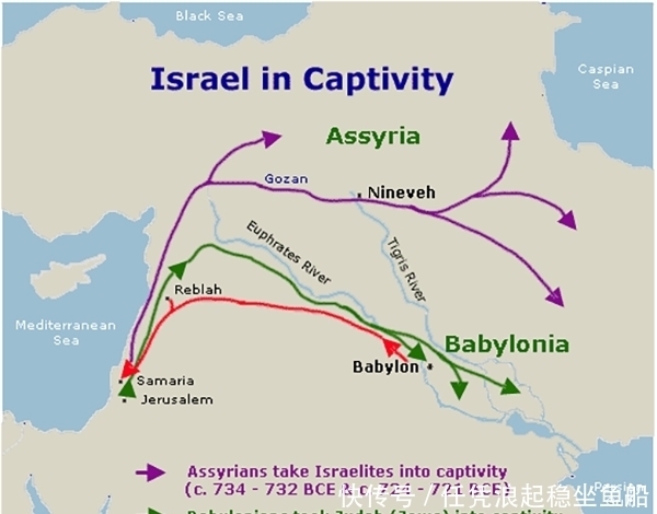 摩西|八十本书环游地球︱以色列/巴勒斯坦:《摩西五经》