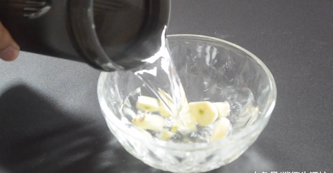 害虫|花盆里放瓣大蒜, 没想到作用这么大, 看完你会感谢我的