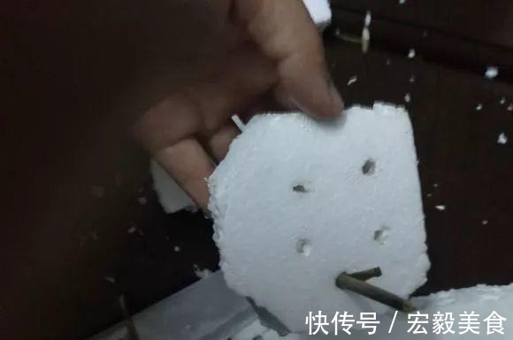 天竺葵|3种懒人扦插法,插啥都活,大白根蹭蹭冒!