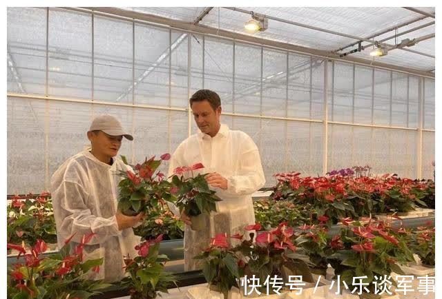 阿里集团|阿里3次获人民日报表扬,马云亲自下场学习,11天卖出2.4亿