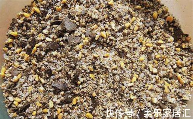 立冬了,到了钓大鲫鱼的时候,分享几个窝料配方,抢鱼快人一步