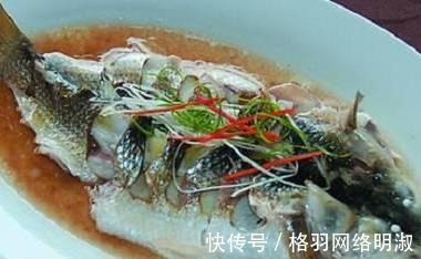 丝瓜|美味简单的家常菜, 今晚你吃什么 经典的家常菜!