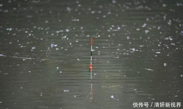 钓法|不知道用七星漂还是立漂,看完这篇就知道了