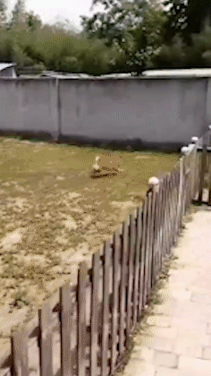 |搞笑GIF:美女!这是公共场所,不是你家啊!你没发现地板很硬吗?