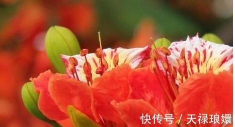 戌年|生于3个时辰的属狗人,命好到老天爷都嫉妒,看看你家有吗?