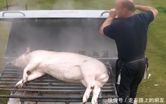 入机器内|猪好吃可毛却不好刮,于是发明了“刮猪毛神器”,设计非常的人性