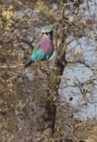 |搞笑GIF趣图:面壁思过唱世上只有爸爸好反省一下