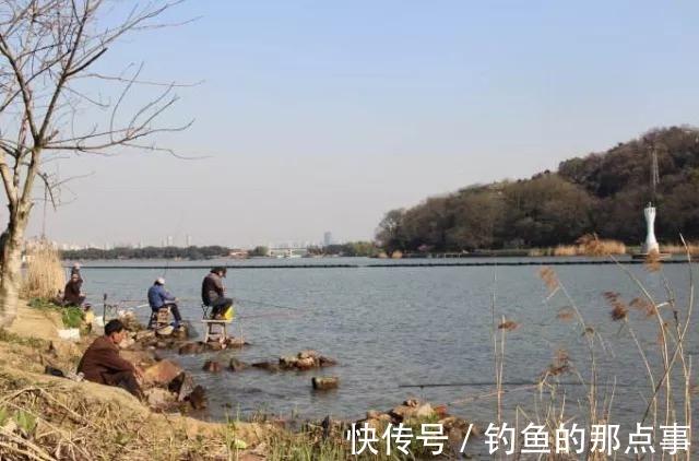 早春钓鲫,钓友记住这4点,保证你一钓一个准,鲫鱼一顿狂拉