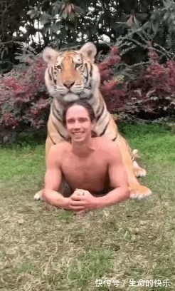 |搞笑说个价钱让我死心