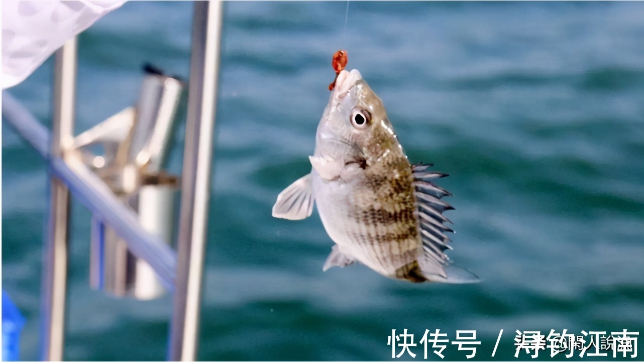 觅食|为何你在秋天钓不到鱼?别人却收获满满,原来是你忽视了天气因素