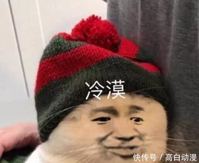 猫被咬完人之后马上跑