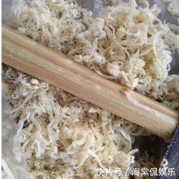 花肥|别再买花肥了,几种垃圾用来养花,花儿疯长不停,省下一大笔钱