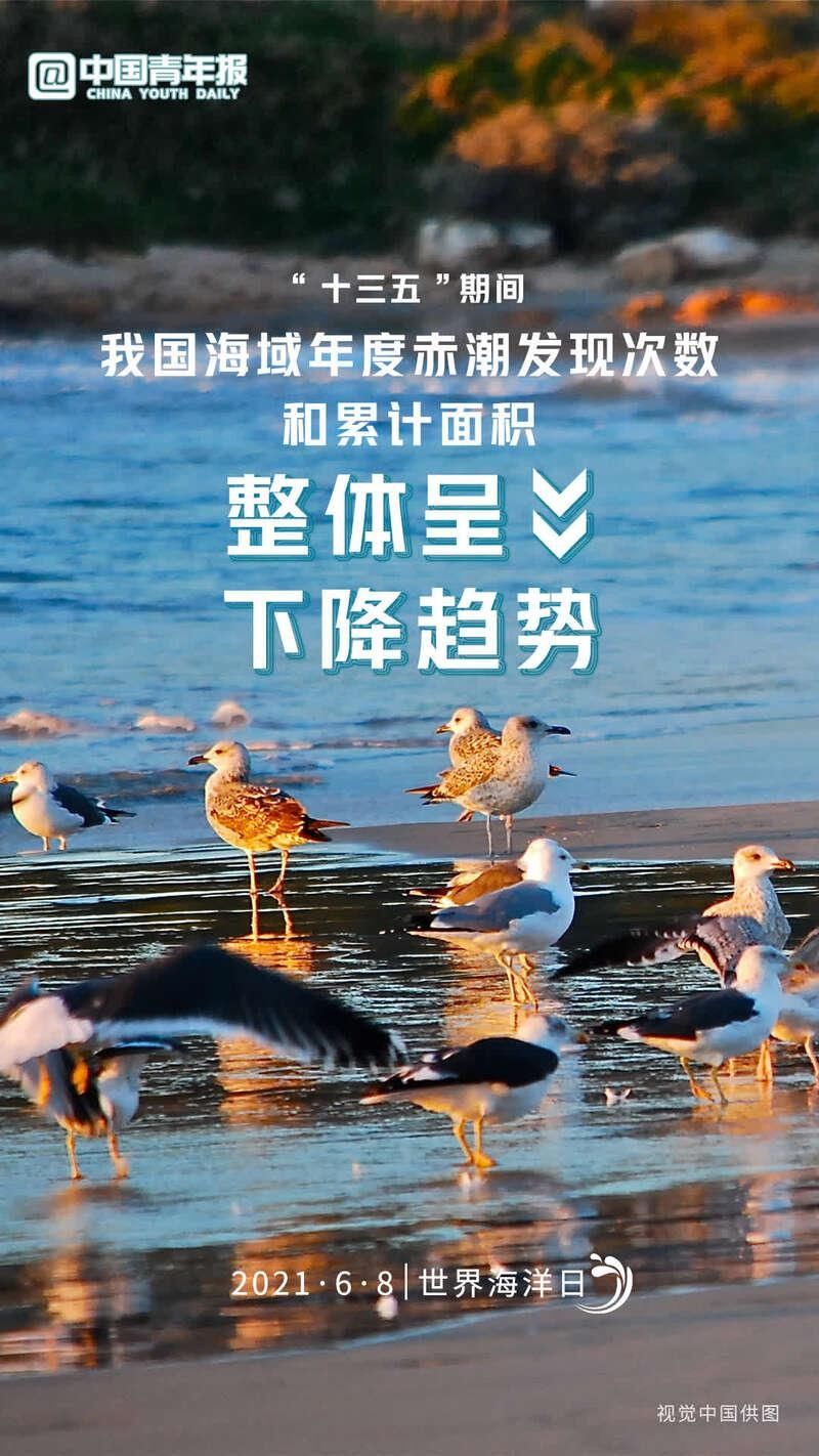 今天是世界海洋日，一起来数读蔚蓝海世界 共建地球生命共同体  蔚蓝海世界