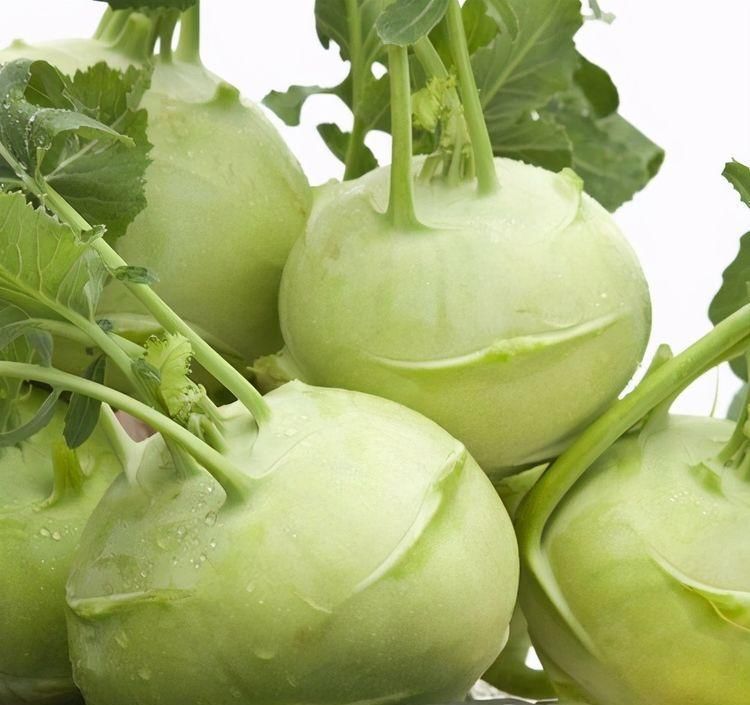 长寿|人到中年想长寿，要坚持吃3种食物，补足气血，身体棒棒哒！