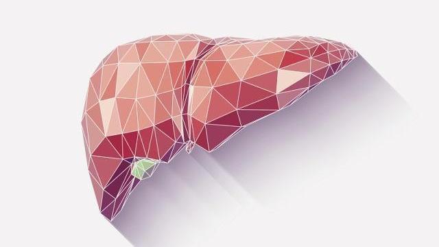 功效|蒲公英和它“天作之合”,坚持泡水喝,养肾补气,或“肝净”如新