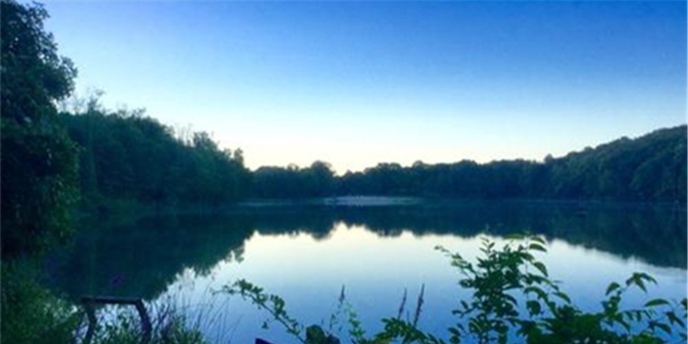 盛夏钓位深浅选择“绝招”:鱼“吃饭”时钓浅,鱼“休息”时钓深