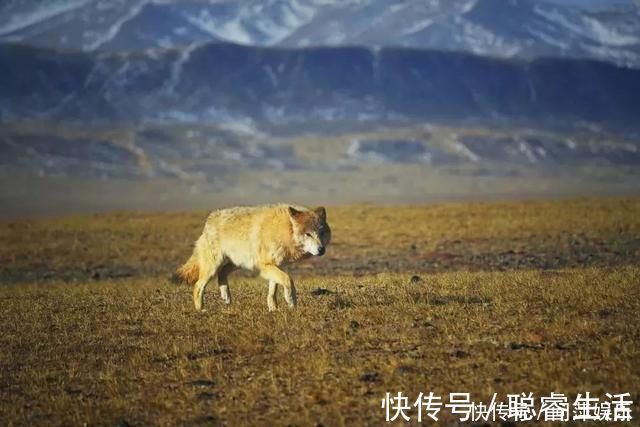 半壁江山|这里不是外星球奇景，而是占了中国半壁江山的西部美景