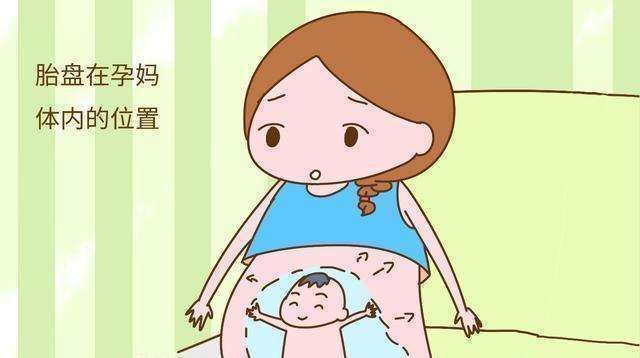 怀孕|孕后最佳显怀时间是什么时候太早未必是好事,可能是4个原因