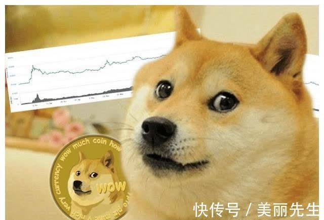 Dogecoin狗狗币交易平台 - 狗狗币价格行情,实时走势图2013年比特币的价格