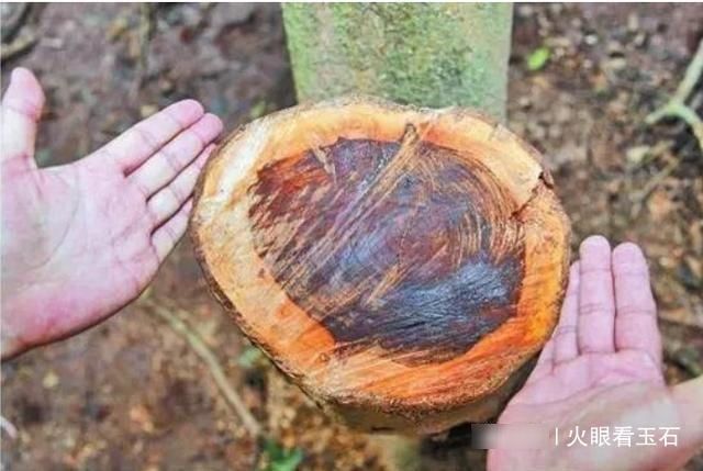 黄花梨|奶奶用了一辈子的洗脚盆,竟然是黄花梨木,一斤能卖3000块