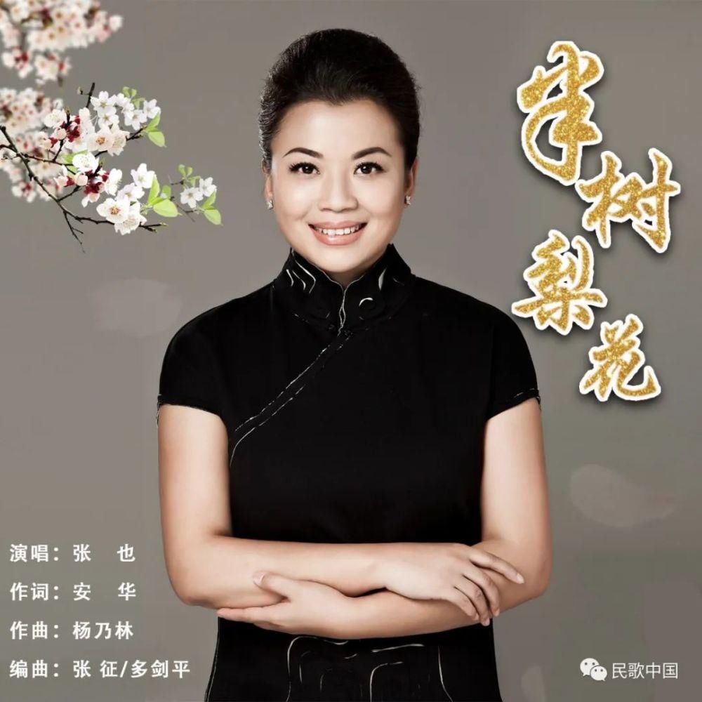 梨花颂歌词全部