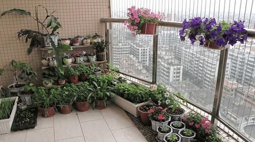 回家|五种浇水方法,家里没人也不怕很好用的回家试试