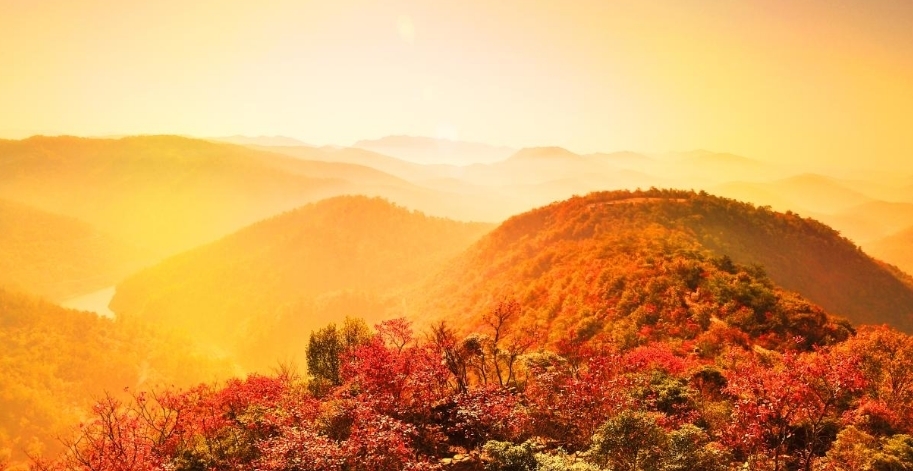 最是年年枫叶好 山村丽景唤吾归（七绝-秋游家乡抒怀）|严从怀 | 枫叶