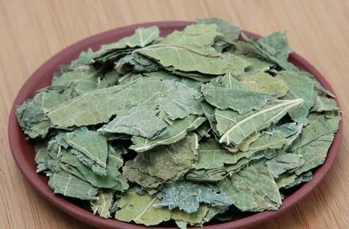 改善|桑叶能用好,绝对是个宝,一片桑叶,能改善6种病症