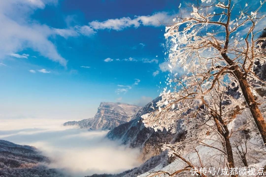 光雾山旅游景区，拟升5A级|喜报 | 景区