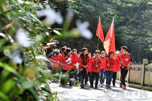 低薪|研学旅行 走进自然大课堂