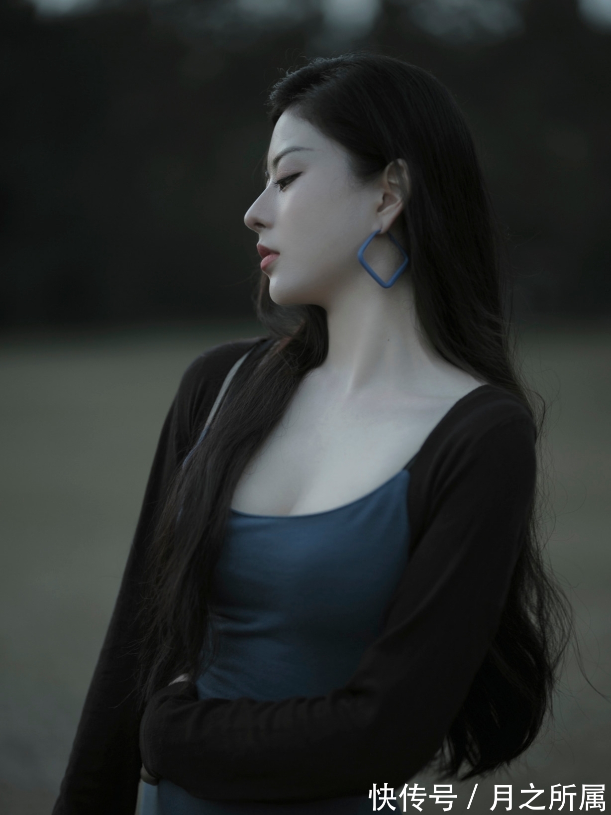 塞雁#诗·词丨未见飞鸿南国去，相思大雁满山坡