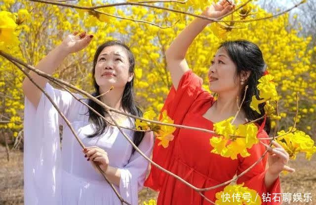 三月|花样荷城,美不胜收!