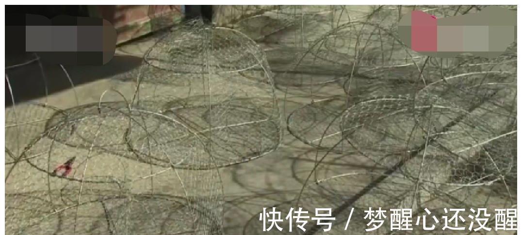 珠海|广东珠海泥猛泛滥!当地钓友反馈到处都是,一天能钓上百斤