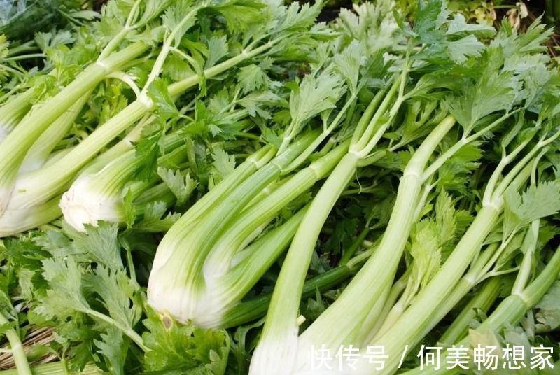 蔬菜|4月宁可不吃肉,也要多吃6种蔬菜,口感鲜嫩营养高,便宜又应季