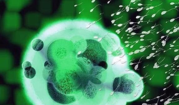 老公|夫妻年龄差越接近这个数,生出的宝宝越聪明,你老公大你几岁