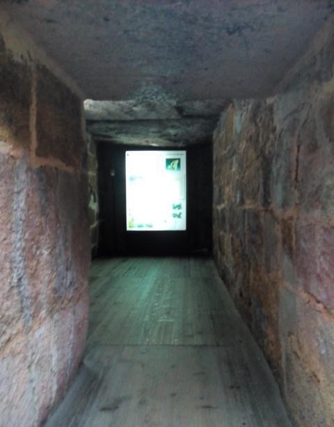 南越国|探访2155年前的南越王墓:墓室坚固如初,出土众多金银财宝