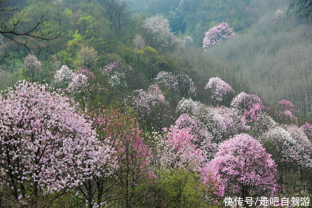 春季最美的5个小众旅行地，错过要再等一年，你去过几个？